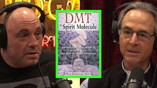 What Is Happening in the Brain During a DMT Trip?