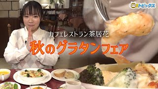 秋のグラタンフェアを開催中の「カフェレストラン 茶居花(ちゃいはな)」 ｜ 青森県八戸市のグルメ情報