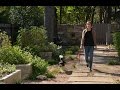 Casey Boyter innovative courtyard garden |Central Texas Gardener