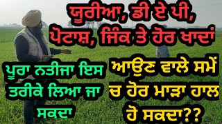 ਖਾਦਾਂ ਤੋਂ 💯ਪੂਰਾ ਫਾਇਦਾ ਲੈਣ ਲਈ ਜਰੂਰੀ ਨੁਕਤਾ, ਹਾਲਾਤ ਮਾੜੇ | How to improve fertilizer use efficiency