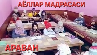 СОЛИХА АЁЛЛАР МАДРАСАСИ 0550059402