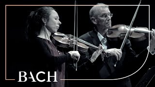 Bach - Brandenburg Concerto no. 5 in D major BWV 1050a - Sato | Netherlands Bach Society