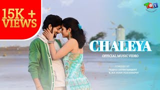 CHALEYA : Jawan (Hindi) | Anirudh | Arijit S, Shilpa R | Kumaar