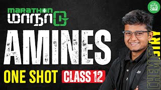 ONE SHOT : Amines | Class 12 Chemistry | Xylem CBSE 11&12 Tamil