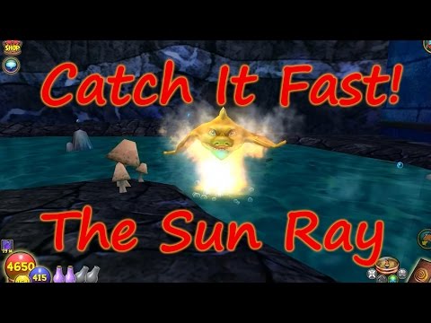 Wizard101: Fishing - Catch It Fast - Sun Ray Wizard101: Fishing - Catch It Fast - Sun Ray