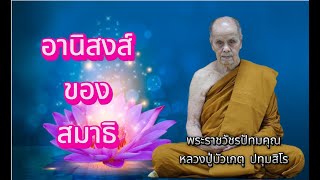 EP.110 ธรรมะเทศนา หลวงปู่บัวเกตุ ปทุมสิโร \