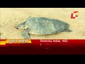 7 pm headlines 11 january 2023 odisha tv