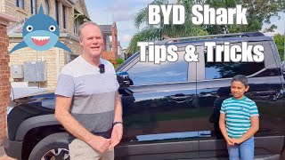 BYD Shark Tips \u0026 Tricks