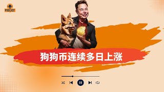 狗狗币连续多日上涨，比特币再度冲击10万美元！山寨币整体热度回升！