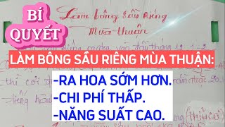 BÍ QUYẾT LÀM BÔNG SẦU RIÊNG MÙA THUẬN: RA HOA SỚM HƠN, CHI PHÍ THẤP, NĂNG SUẤT CAO | HƯƠNG SẦU RIÊNG