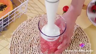 Sonifer HAND BLENDER SF-8043220-240V~ 50-60Hz