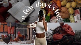 a few days vlog | snow day in texas, amazing thrift find, trader joe's haul + affordable skincare