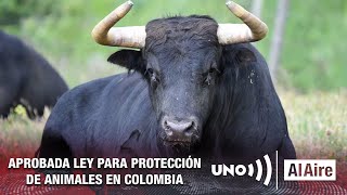 Aprobado en cuarto debate prohibición de corridas de toros | Noticias UNO Al Aire