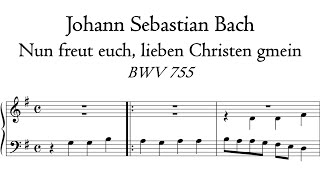 Bach - Nun freut euch, lieben Christen g'mein, BWV 755 - Schnitger Organ, Noordbroek, Hauptwerk