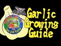 How to plant garlic. Growing Guides and information.