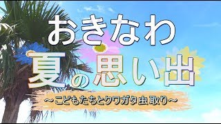 【沖縄の夏の思い出】こどもたちとクワガタ虫取り体験　in 東村[桜R1/9/4]