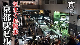 【京都おすすめ】秋の初め 京都駅ビル散策【京のココ見といやす】【京都観光旅行】