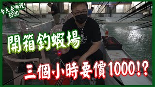 開箱｜三小時要價1000！【今天去哪裡 EP 30】苗栗太子釣蝦場 #釣蝦 #阿哲 @gueitsai  台湾のエビ Shrimp fishing in Taiwan 대만에서낚시