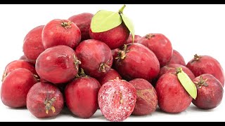 Facts and benefits of Carissa (natal plum)  #usefultips #useful