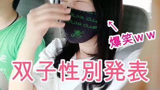 【双子】性別がわかりました！旦那さんへの報告動画♪