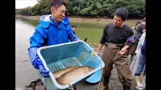 【放送禁止】「池の水ぜんぶ抜く」で出てくる“映せないモノ”