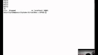 SecurityTube Python Scripting Expert: Module 3 Exercise: Multi-Process Echo Server in Python