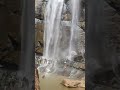 aagaya gangai water falls kolli hills shorts