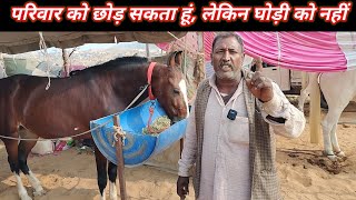 घोडीयों के बारे में इस तरह की जानकारी आपको कहीं नहीं मिलेगी #All Rounder horse knowledge