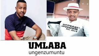 Umdumazi - uMlaba (official Audio)