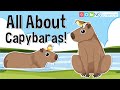 All About Capybaras!