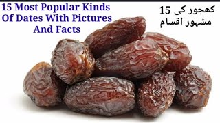 15 most popular kinds of dates || Dates varieties || Delicious dates || The information hunt