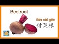 vegetable in chinese蔬菜｜with pinyin拼音标注｜learn chinese学中文｜bilingual中英双语｜teacher tianyi