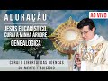 JESUS EUCARÍSTICO, CURAI A MINHA ÁRVORE GENEALÓGICA | CURAI E LIBERTAI DAS DOENÇAS DA MENTE/SUICÍDIO