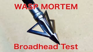 WASP MORTEM Broadhead Test