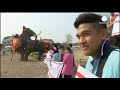 giant gourmets fruit buffet for thailand s national symbol on elephant day