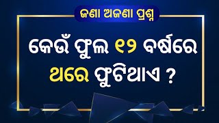 କେଉଁ ଫୁଲ ୧୨ ବର୍ଷରେ ଥରେ ଫୁଟିଥାଏ || ଓଡ଼ିଆ ଢଗ ଢମାଳି ପ୍ରଶ୍ନ || odia important gk ||