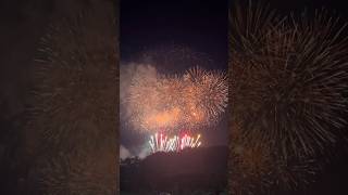 足利花火大会🎆Fireworks Festival 🎌 #foryou #japan #fireworks #fypシ゚viral #shorts #foryoupage #fyp #fy