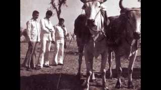 Nagaur Cattle fair ( chandra shekhar vyas)