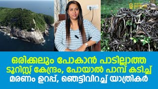 ഒരിക്കലും പോകാൻ പാടില്ലാത്ത ടൂറിസ്റ്റ് കേന്ദ്രം, പോയാൽ പാമ്പ് കടിച്ച് മരണം ഉറപ്പ് | Snake Island |