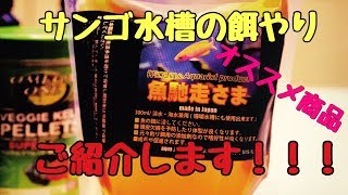 (海水魚水槽)　水槽の餌やり方法！おススメ商品のご紹介！