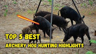 Top 5 Best Archery Hog Hunting Highlights! - (4k Ultra Slow Motion)