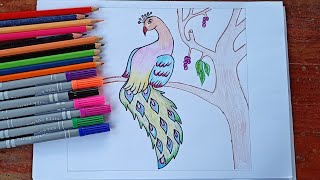 How to draw a peacock step by step easy to draw/របៀបគូររូបសត្វក្ងោកងាយៗយល់សម្រាប់គូរតាម✍️✍️