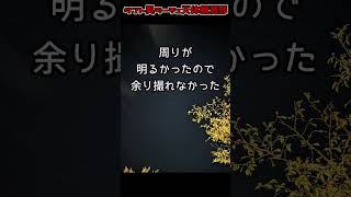 蒲生の湯オートキャンプ場で天体観測　#タイムラプス　#天体観測　#蒲生の湯オートキャンプ場