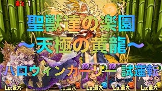 パズドラ　聖獣達の楽園 〜天極の黄龍〜 ハロウィンカーリー 試運転