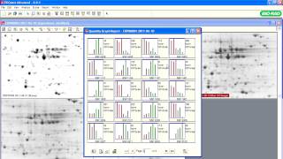 PDQuest™ Software Tutorials — Generating Reports