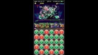 パズドラ【コシュまる降臨】超地獄級 レックスネコPT 高速周回