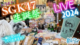 【祝】SGK46ダンナ生誕祭2024LIVE!【金曜20時定時ライブ】2024.6/14