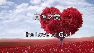 生命聖詩41 | 真神之愛 | The Love of God