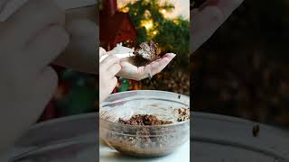 Let's make havregrynskugler (oat cocoa balls)! #shorts #christmas #scandinavian #jul #oats #nobake