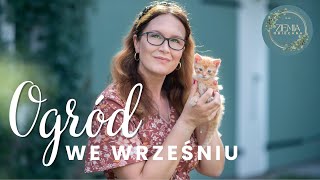 Ogród we wrześniu - pierwsze jesienne dekoracje